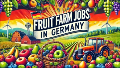 Fruit Farm Jobs in Germany with Visa Sponsorship 2024 (€27 Per Hour)