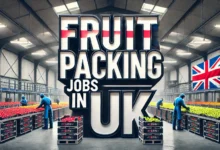 Fruit Packing Jobs in UK with Visa Sponsorship 2024 (£26,000 to £30,000 Per Year)