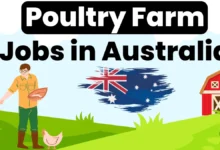 Poultry Farm Jobs in Australia with Visa Sponsorship 2024 (AUD 45,000 to AUD 60,000 Yearly)