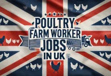 Poultry Farm Worker Jobs in UK with Visa Sponsorship 2024 (£14.25 Per Hour)
