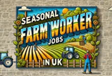 Seasonal Farm Worker Jobs in UK with Visa Sponsorship Sep 2024 (£10.18 Hourly)