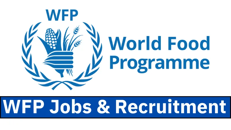 WFP Jobs & Recruitment (September 2024): Open Vacancies/Application