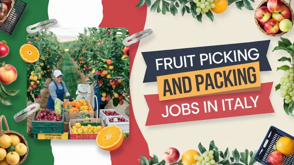 Fruit Picking and Packing Jobs in Italy with Visa Sponsorship 2024