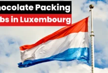 Chocolate Packing Jobs in Luxembourg with Visa Sponsorship 2024 (€25,000-€30,000 Yearly)