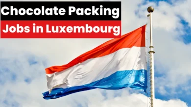 Chocolate Packing Jobs in Luxembourg with Visa Sponsorship 2024 (€25,000-€30,000 Yearly)