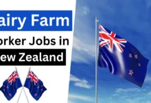 Dairy Farm Workers Jobs in New Zealand with Visa Sponsorship 2024 ($55,000 Per Year)