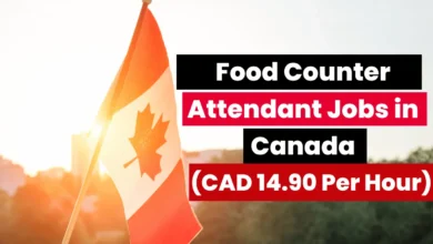 Food Counter Attendant Jobs in Canada 2024 (CAD 14.90 Per Hour)