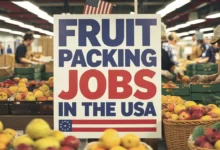 Fruit Packing Jobs in USA for Foreigners 2024