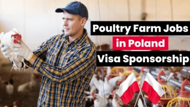 Poultry Farm Jobs in Poland for Foreigners with Visa Sponsorship 2024