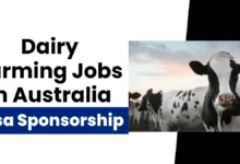 Dairy Farming Jobs in Australia with Visa Sponsorship 2024 ($47,621 Yearly)