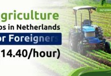 Agricultural Jobs in Netherlands with Visa Sponsorship 2026 (€14.40/hour)