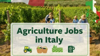 Agriculture Jobs in Italy with Visa Sponsorship 2026 (€1,200 to €1,800 Per Month)