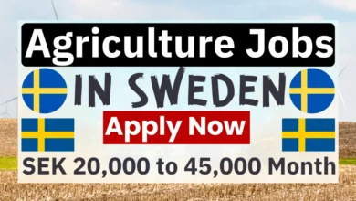 Agriculture Jobs in Sweden with Visa Sponsorship 2026 (SEK 20,000 to SEK 45,000 Month)