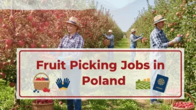 Fruit Picking Jobs in Poland with Visa Sponsorship 2026 (PLN 18 to PLN 32 Per Hour)