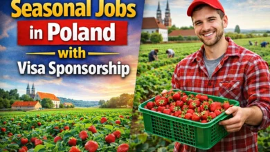 Seasonal Jobs in Poland with Visa Sponsorship 2026 (PLN 4,000 to PLN 9,000 Per Month)
