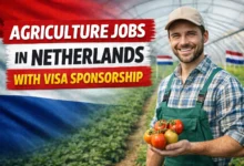 Agriculture Jobs in Netherlands with Visa Sponsorship 2026
