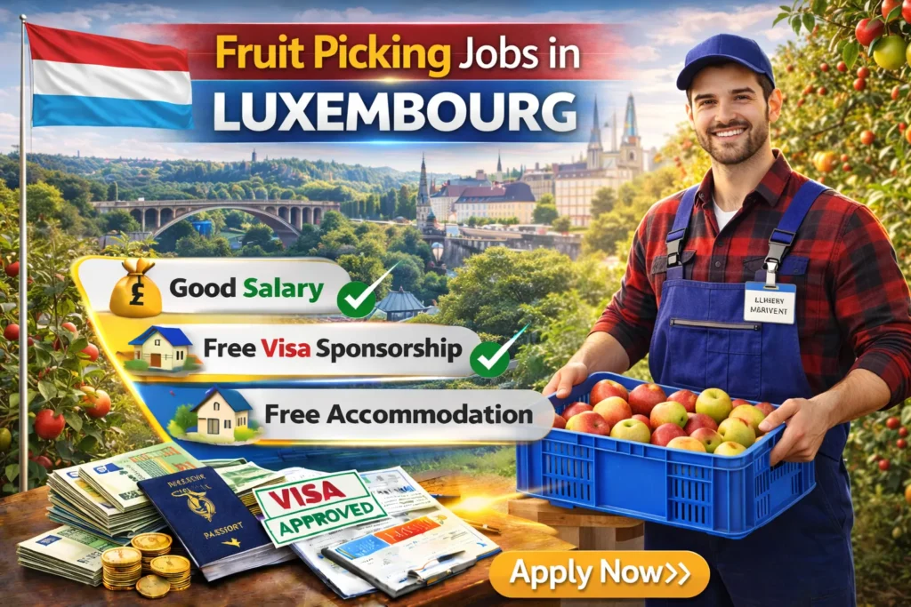 Fruit Picking Jobs in Luxembourg with Visa Sponsorship 2026