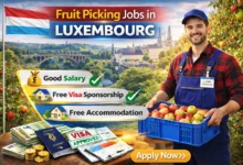 Fruit Picking Jobs in Luxembourg with Visa Sponsorship 2026