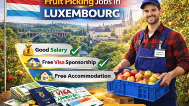 Fruit Picking Jobs in Luxembourg with Visa Sponsorship 2026