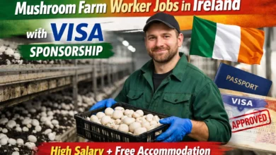 Mushroom Farm Worker Jobs in Ireland with Visa Sponsorship 2026