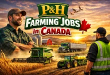 P&H Farming Jobs in Canada with Visa Sponsorship 2026