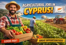 Agricultural Jobs in Cyprus with Visa Sponsorship 2026 (€900 to €1,300 Per Month)