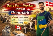 Dairy Farm Worker Jobs in Denmark with Visa Sponsorship 2026