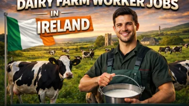 Dairy Farm Worker Jobs in Ireland with Visa Sponsorship 2026 (€2,200 Monthly)
