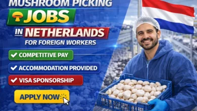 Mushroom Picking Jobs in Netherlands for Foreign Workers with Work Visa 2026