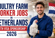 Poultry Farm Worker Jobs in Netherlands with Visa Sponsorship 2026