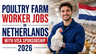 Poultry Farm Worker Jobs in Netherlands with Visa Sponsorship 2026