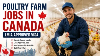 Poultry Farm Jobs in Canada with LMIA Approved Visa