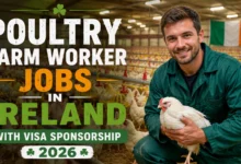Poultry Farm Worker Jobs in Ireland with Visa Sponsorship 2026