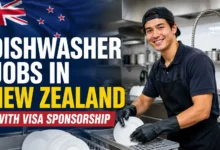 Dishwasher Jobs in New Zealand with Visa Sponsorship