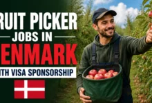 Fruit Picker Jobs in Denmark with Visa Sponsorship 2026