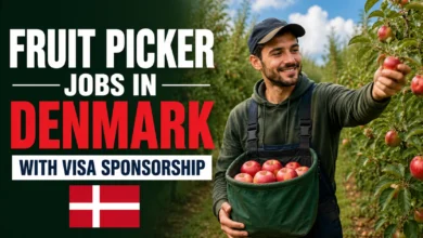 Fruit Picker Jobs in Denmark with Visa Sponsorship 2026