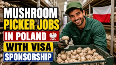 Mushroom Picker Jobs in Poland with Visa Sponsorship 2026
