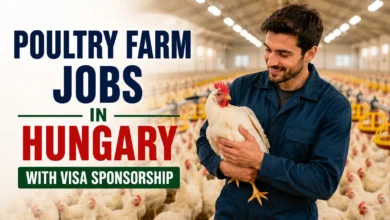 Poultry Farm Jobs in Hungary with Visa Sponsorship 2026