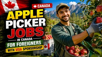 Apple Picker Jobs in Canada for Foreigners with Visa Sponsorship 2026