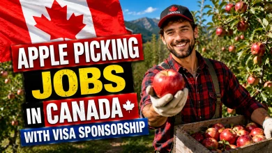Apple Picking Jobs in Canada with Visa Sponsorship 2026