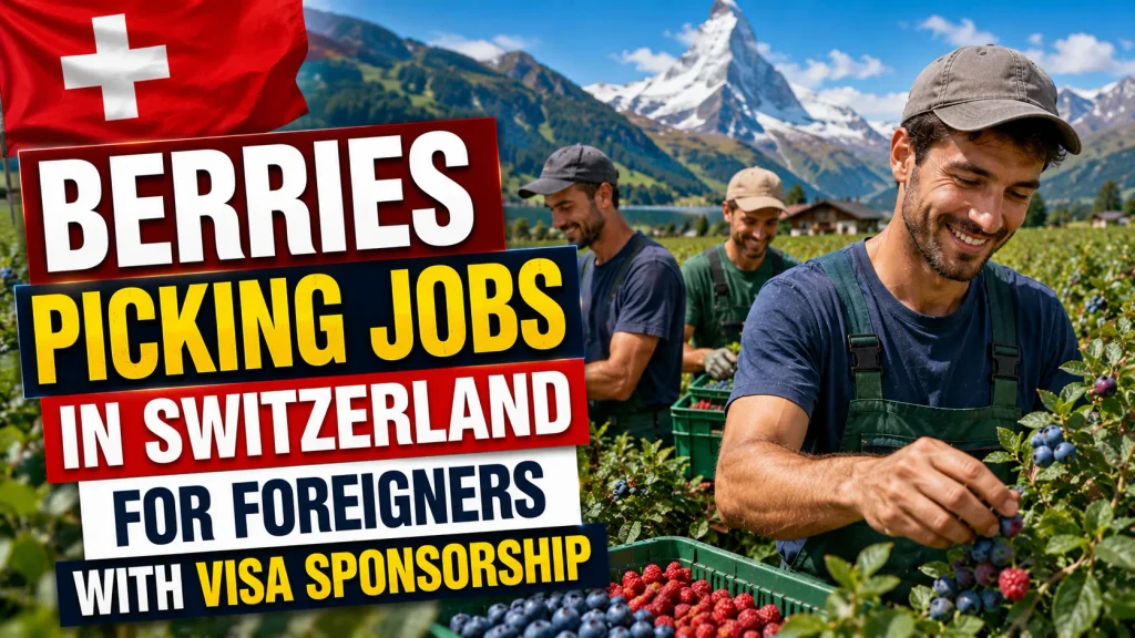 Berries Picking Jobs in Switzerland for Foreigners with Visa Sponsorship 2026