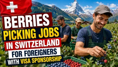Berries Picking Jobs in Switzerland for Foreigners with Visa Sponsorship 2026