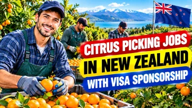 Citrus Picking Jobs in New Zealand with Visa Sponsorship 2026