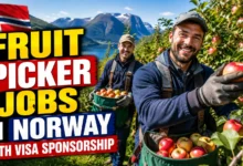 Fruit Picker Jobs in Norway with Visa Sponsorship 2026