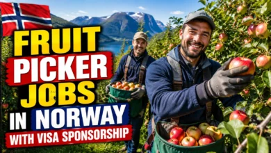 Fruit Picker Jobs in Norway with Visa Sponsorship 2026