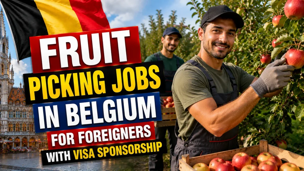 Fruit Picking Jobs in Belgium for Foreigners with Visa Sponsorship 2026
