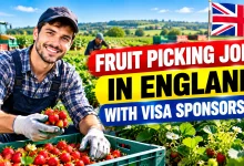 Fruit Picking Jobs in England with Visa Sponsorship 2026