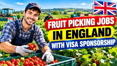 Fruit Picking Jobs in England with Visa Sponsorship 2026