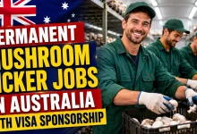Permanent Mushroom Picker Jobs in Australia with Visa Sponsorship 2026
