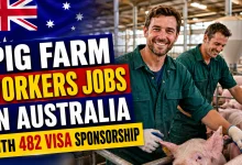 Pig Farm Workers Jobs in Australia with 482 Visa Sponsorship 2026